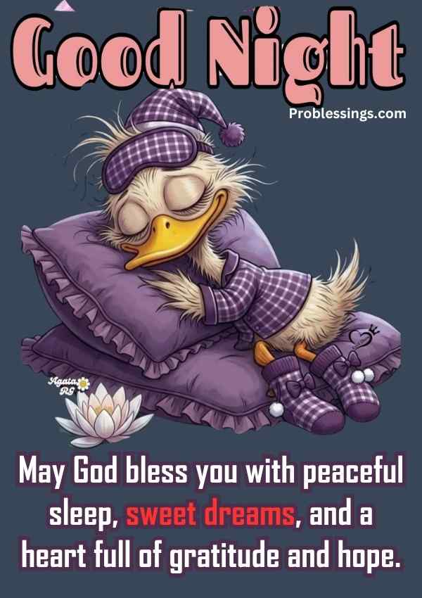 spiritual good night blessing with duck sleeping